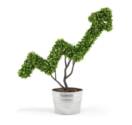 Grow Plant