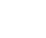 logo icon white.png