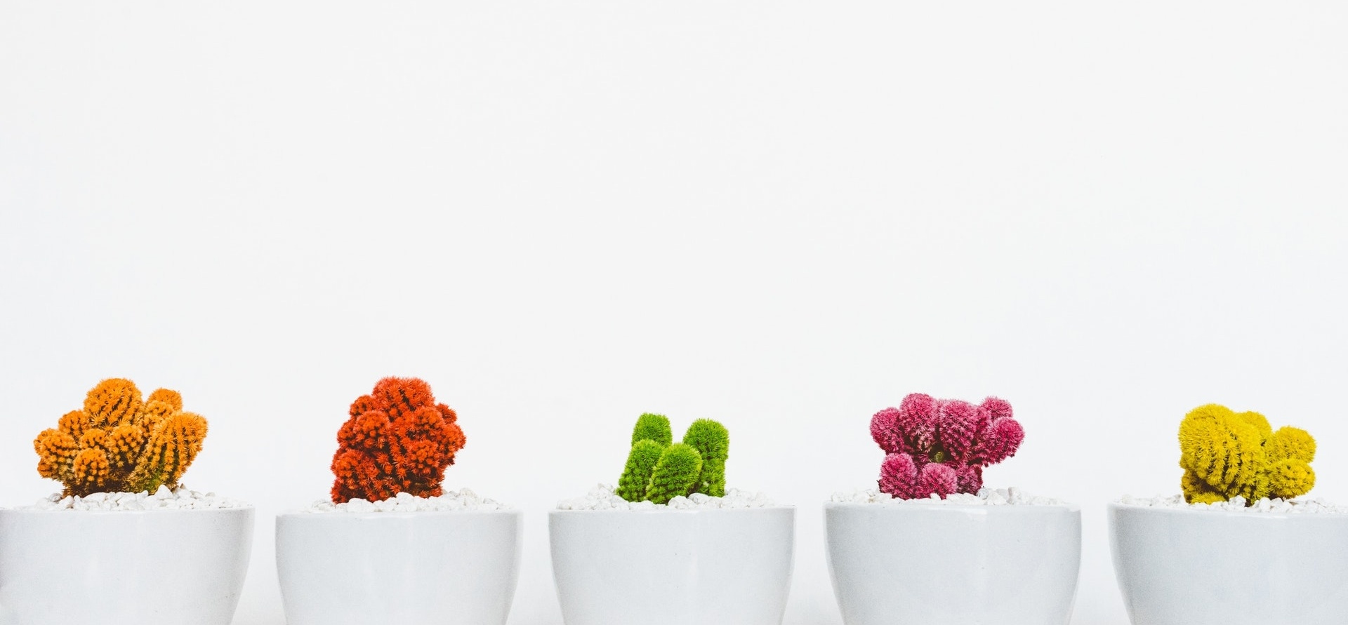 THE GROWIT TEAM